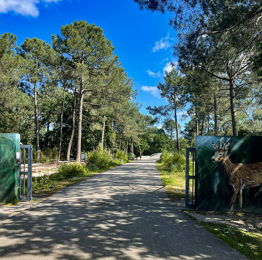 Zone d'exposition - Forêt du Bourgailh